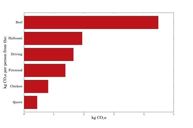 Greenhouse gas emissions per person from each aspect of the BBQ.